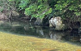 シーラニ白浜荘